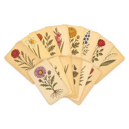 Roylco Rubbing Plates - Botanical Flowers, 6-1/4" x 10-3/4", Set of 14