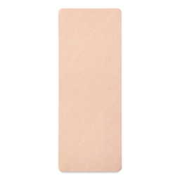 Realeather Veg-Tan Tooling Leather - Natural Cowhide, 9-3/8" x 3-1/2", outside of the packaging