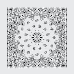 Hav-A-Hank Paisley Bandana - White, 22" W x 22" L