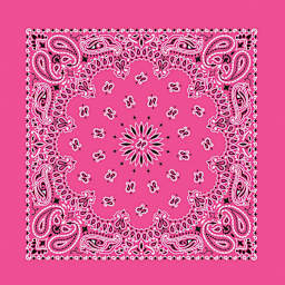 Hav-A-Hank Paisley Bandana - Hot Pink, 22" W x 22" L