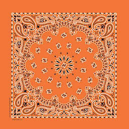 Hav-A-Hank Paisley Bandana - Orange, 22" W x 22" L