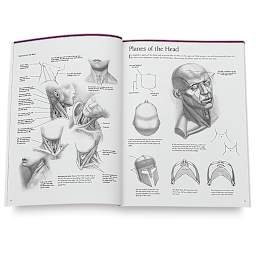 The Art of Drawing & Painting Portraits - Spread titled Planes of the Head
