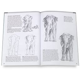 Drawing Made Easy: Lifelike Animals