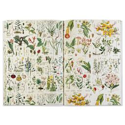 Pepin Press Creative Paper Book - Flora, open showing flowers