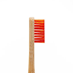 Angelus Detail Cleaning Brush, Pkg of 2