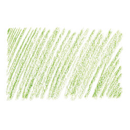 Holbein Artists' Colored Pencil - Sap Green, OP262 swatch