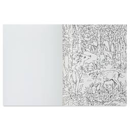 Woodland Watercolor: A Coloring Workbook, open