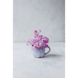 Botz Plus Glaze Enhancer - violet plant in blue and violet finished mug example