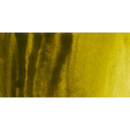 PWC Extra Fine Professional Watercolor - Greenish Yellow swatch