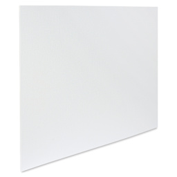 Winsor & Newton Professional Artists’ Canvas Board - 20" x 24"