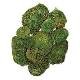 SuperMoss Preserved Topa Moss