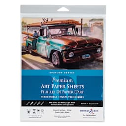 Stillman & Birn Epsilon Series Art Paper - 8" x 10", front of the packaging
