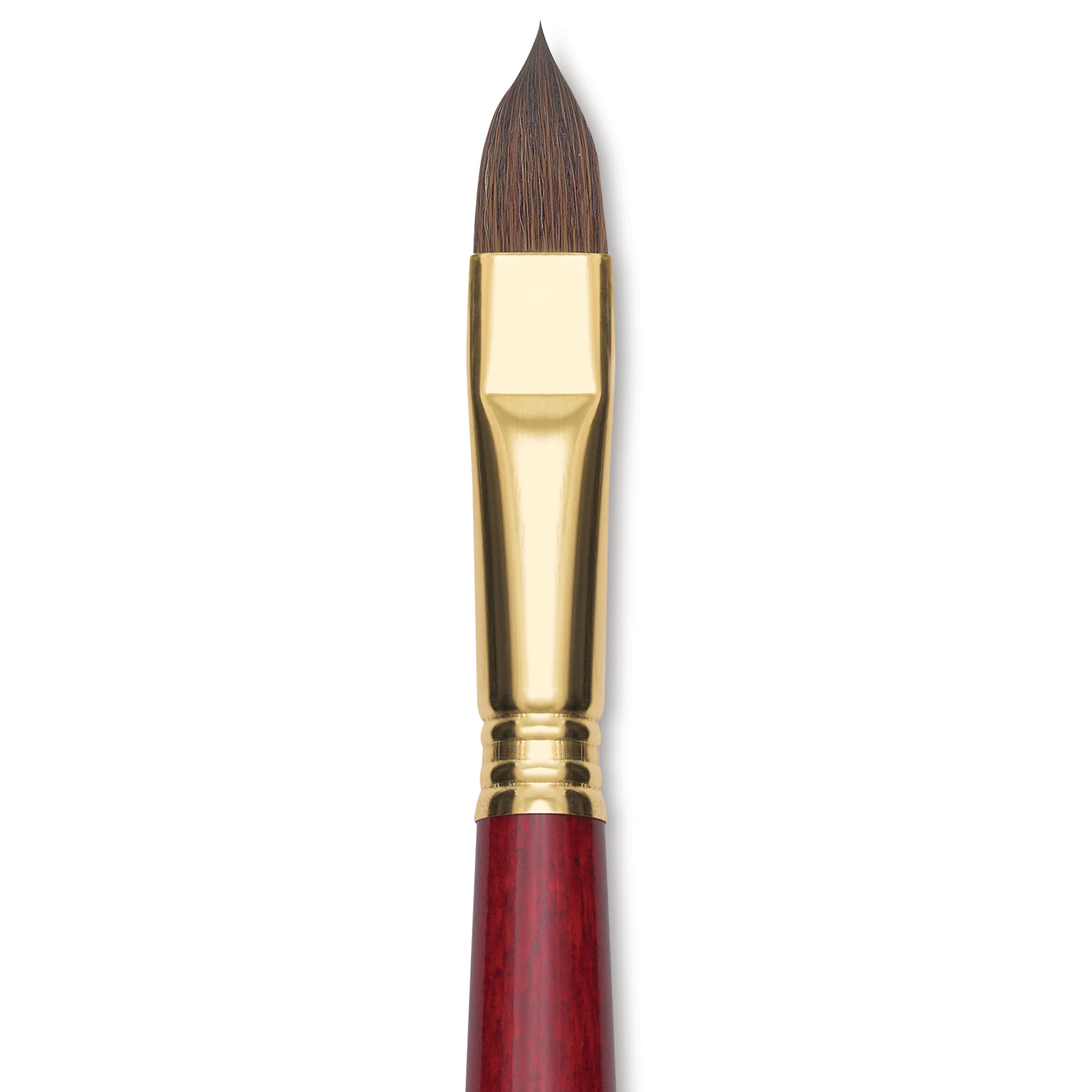 Blick Master Synthetic Kolinsky Brush - Long Handle, Filbert, Size 14