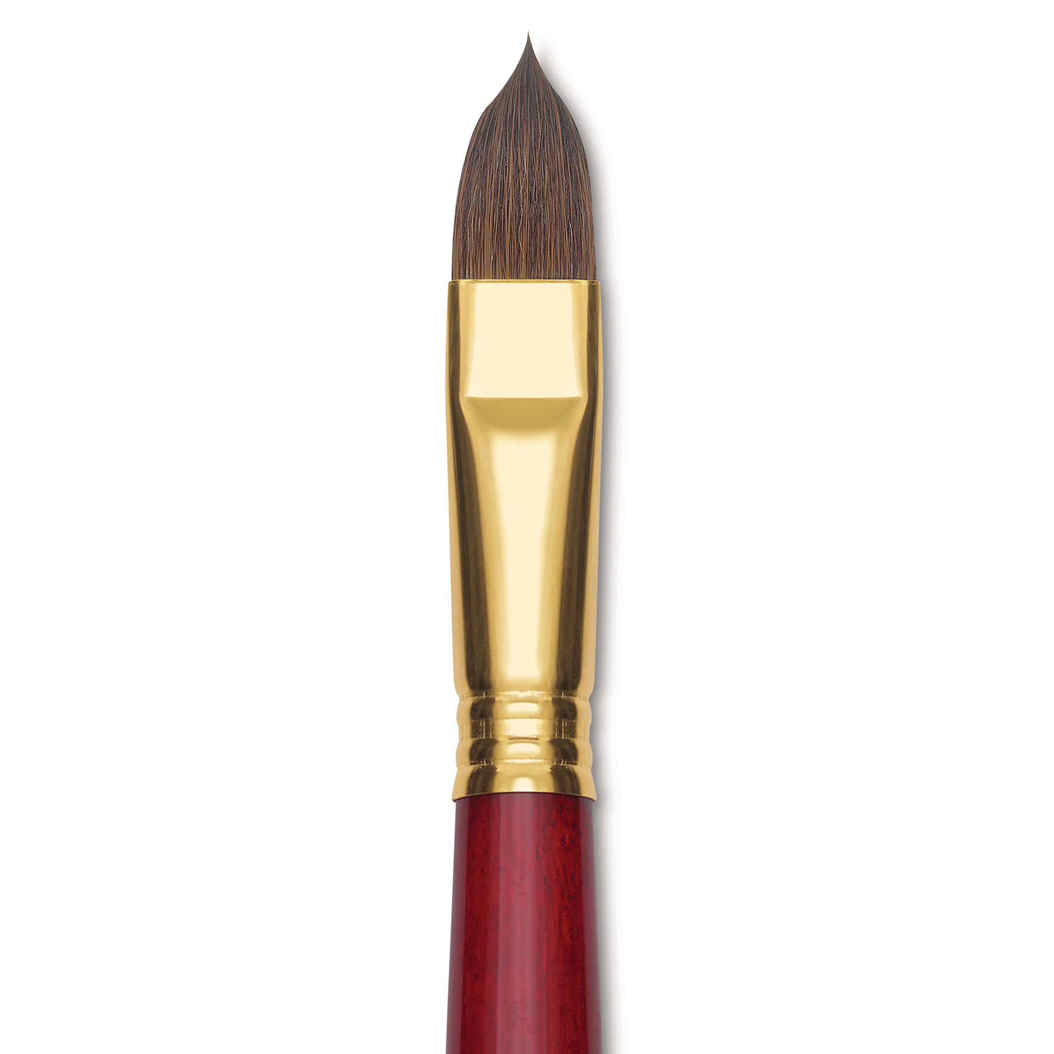 Blick Master Synthetic Kolinsky Brush - Long Handle, Filbert, Size 16