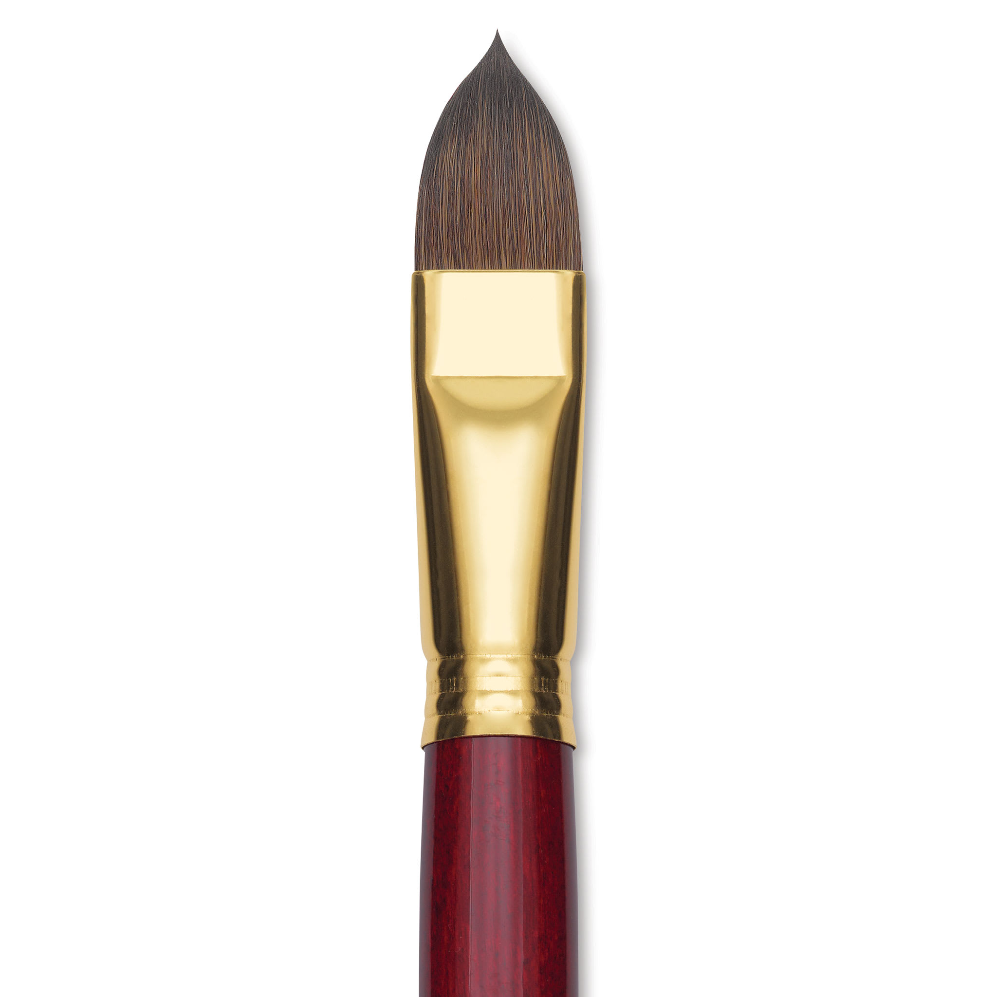 Blick Master Synthetic Kolinsky Brush - Long Handle, Filbert, Size 20