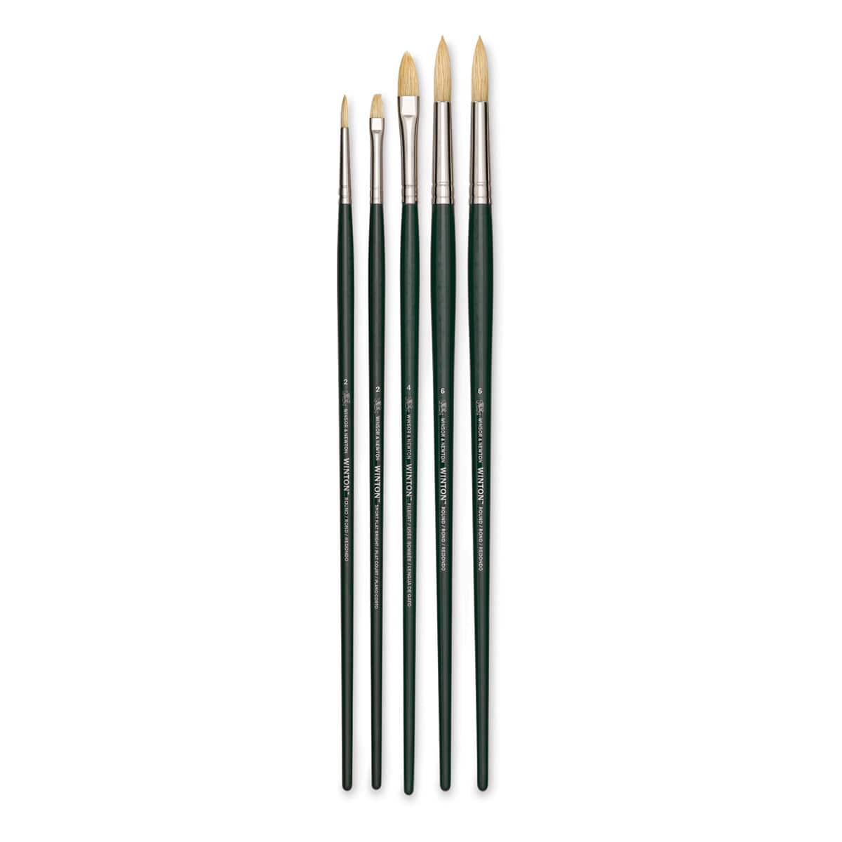 Winsor & Newton Winton Hog Bristle Brushes - Assorted, Pkg of 5