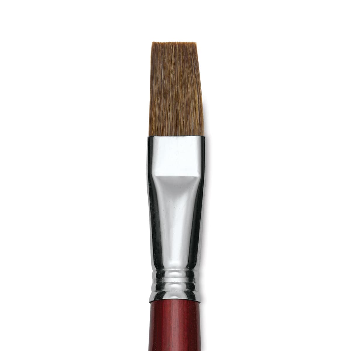 Escoda Bravo Light Ox Hair Brush - Flat, Long Handle, Size 18