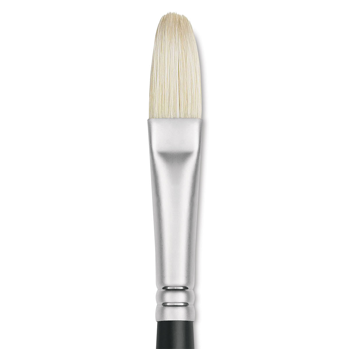Winsor & Newton Artists' Oil Brush - Filbert, Long Handle, Size 8