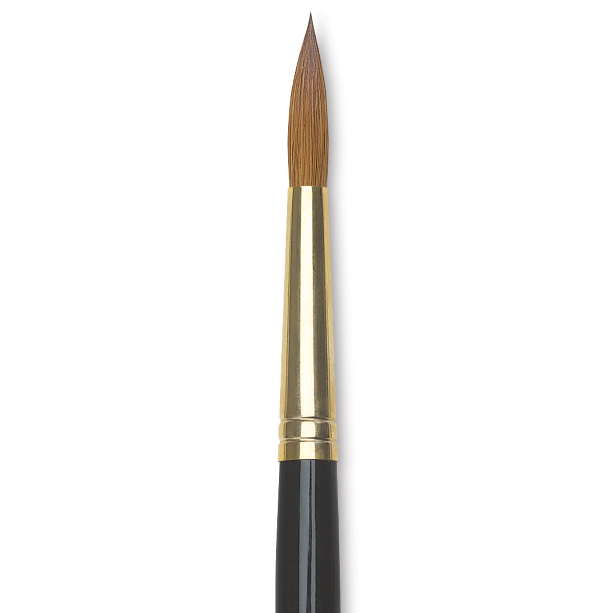 Da Vinci Maestro Kolinsky Brush - Full Belly Round, Short Handle, Size 8
