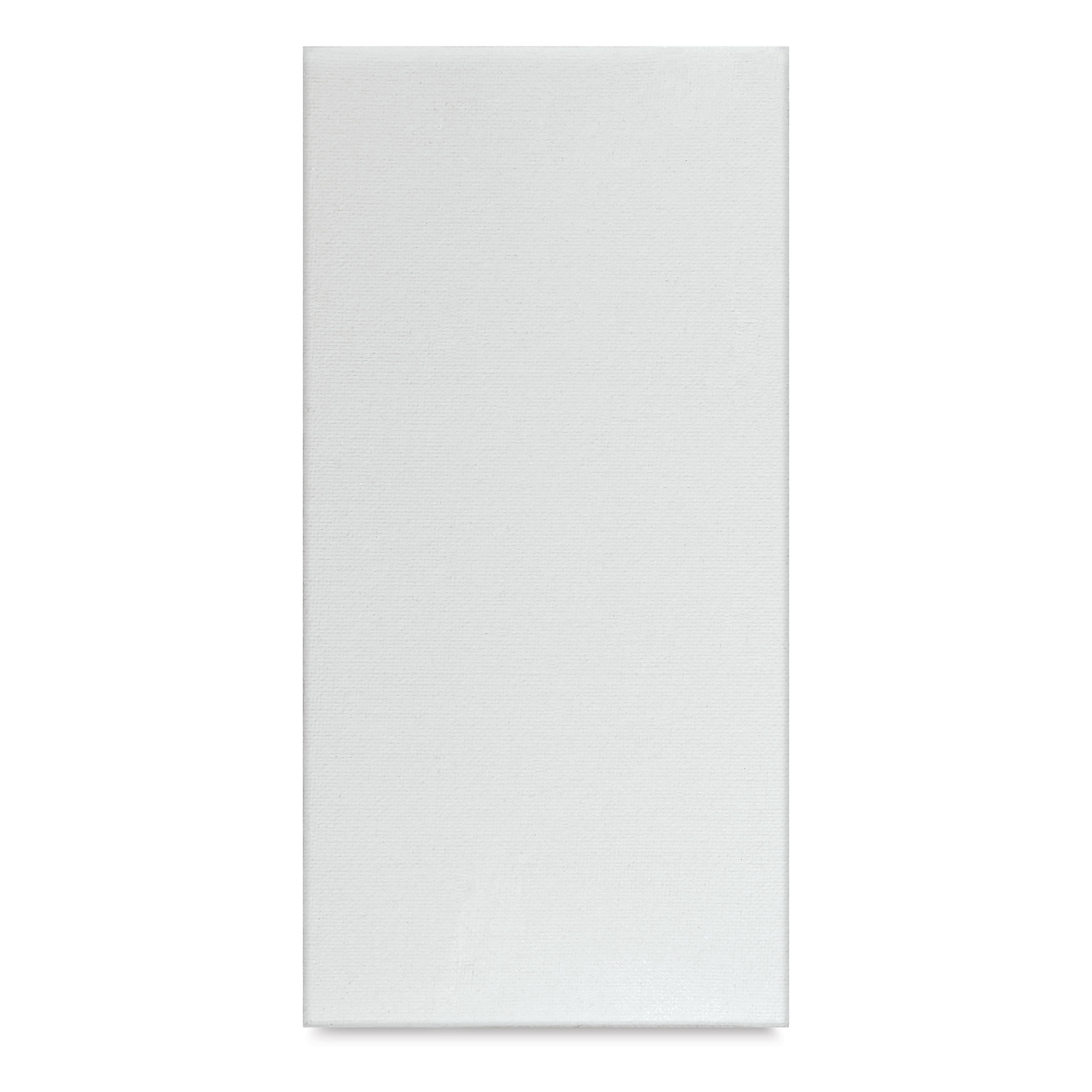 Blick Studio Cotton Canvas Panel - 4" x 8"