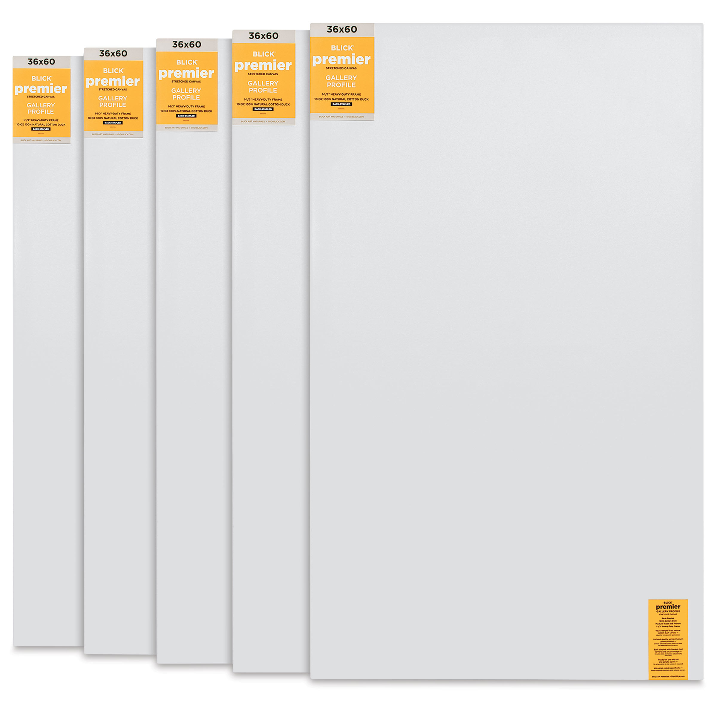Blick Premier Stretched Cotton Canvas - Gallery Profile, Back-Stapled, 36" x 60", Pkg of 5