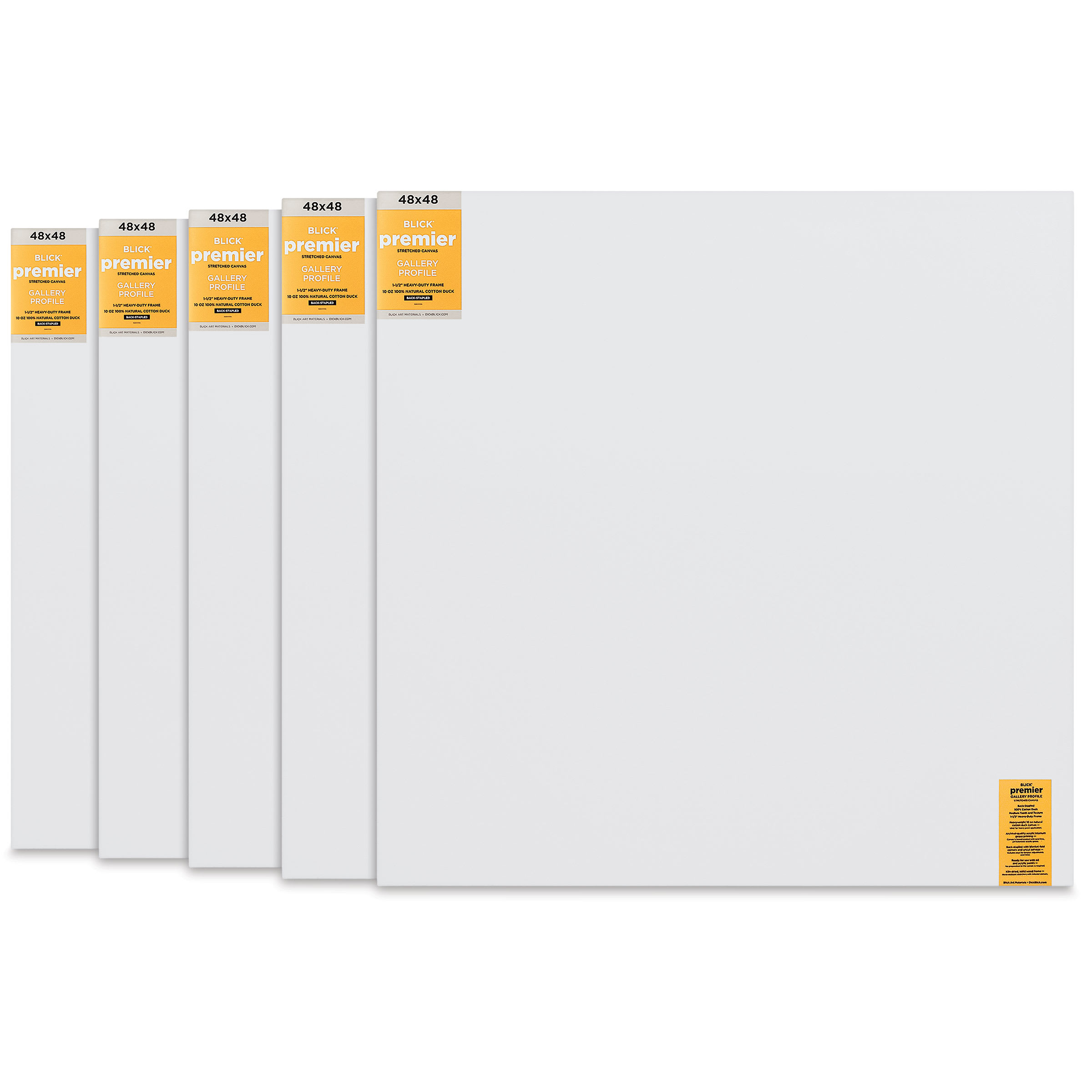Blick Premier Stretched Cotton Canvas - Gallery Profile, Back-Stapled, 48" x 48", Pkg of 5