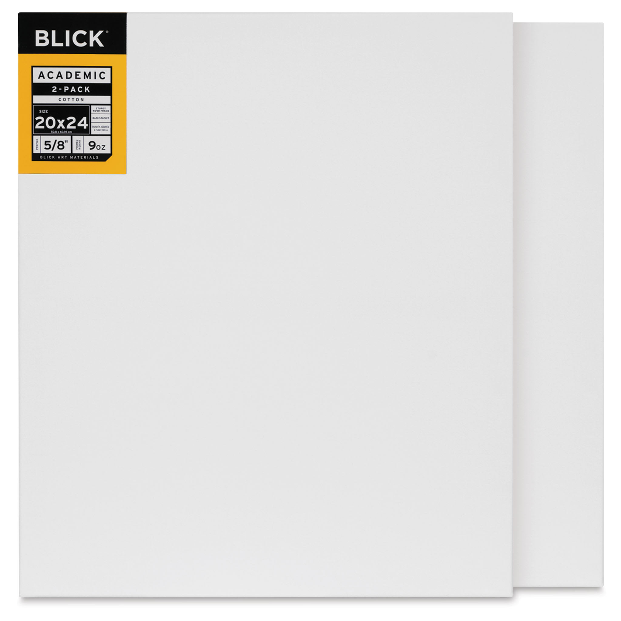 Blick Academic Cotton Stretched Canvas Pack - 20" x 24", Pkg of 2