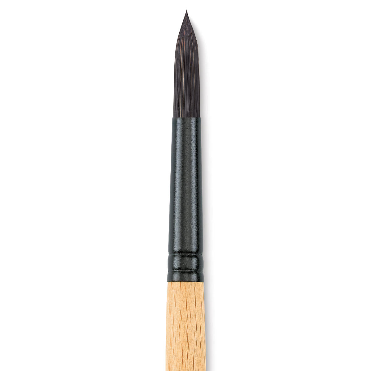 Princeton Catalyst Polytip Brush - Round, Size 12, Short Handle