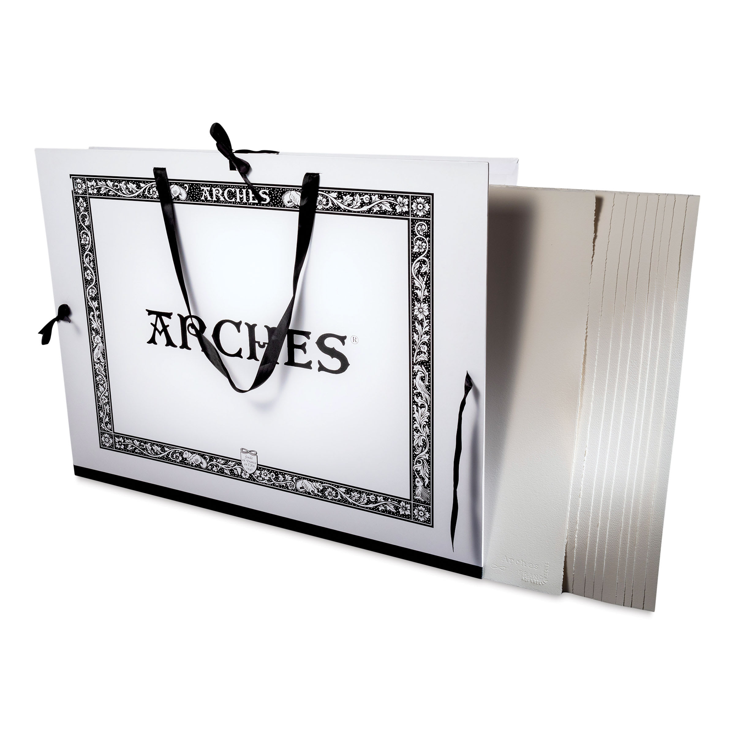 Arches Aquarelle Watercolor Sheets and Portfolio Set - Blick Exclusive! 22" x 30", 140 lb, Cold Press, 10 Sheets