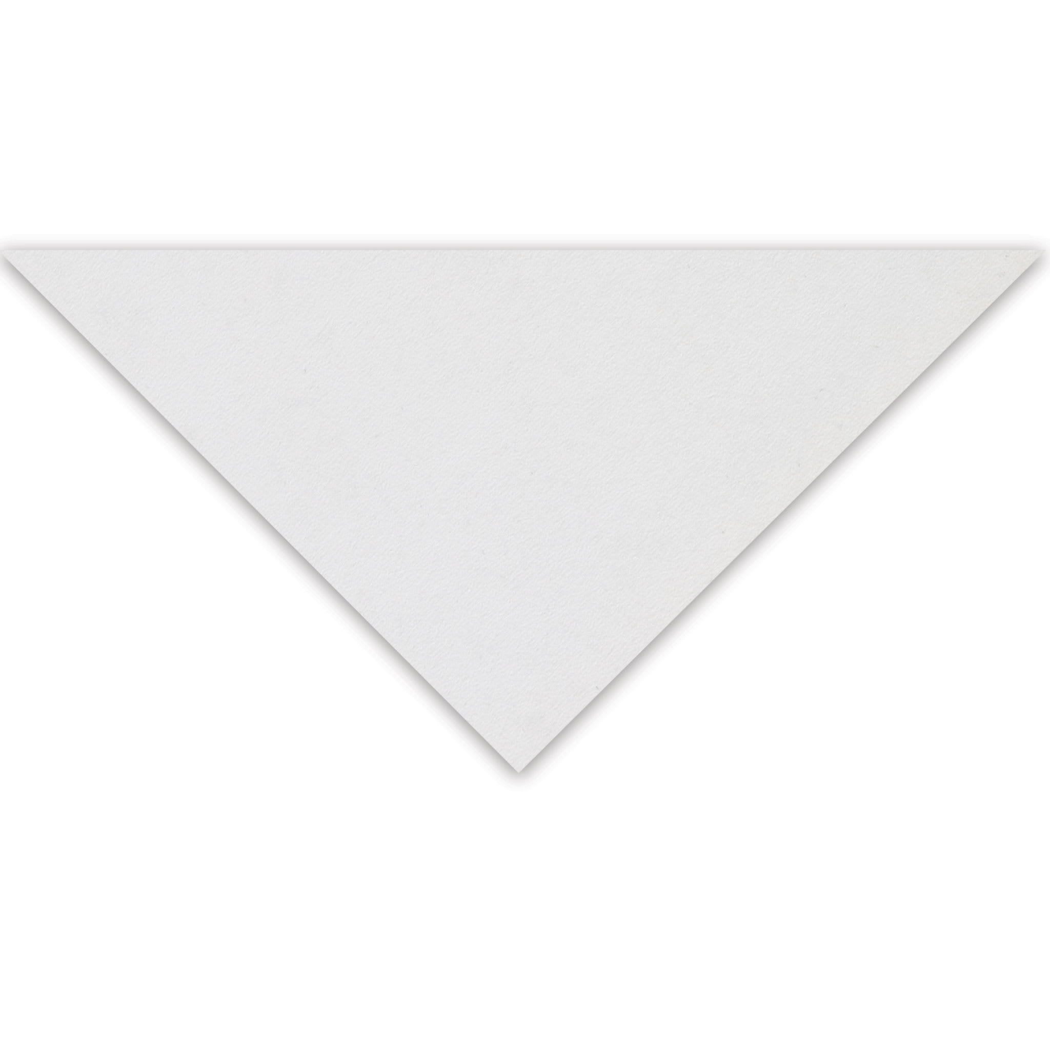 Clairefontaine Pastelmat Sheet - 9-1/2" x 12-1/2", White, 1 Sheet