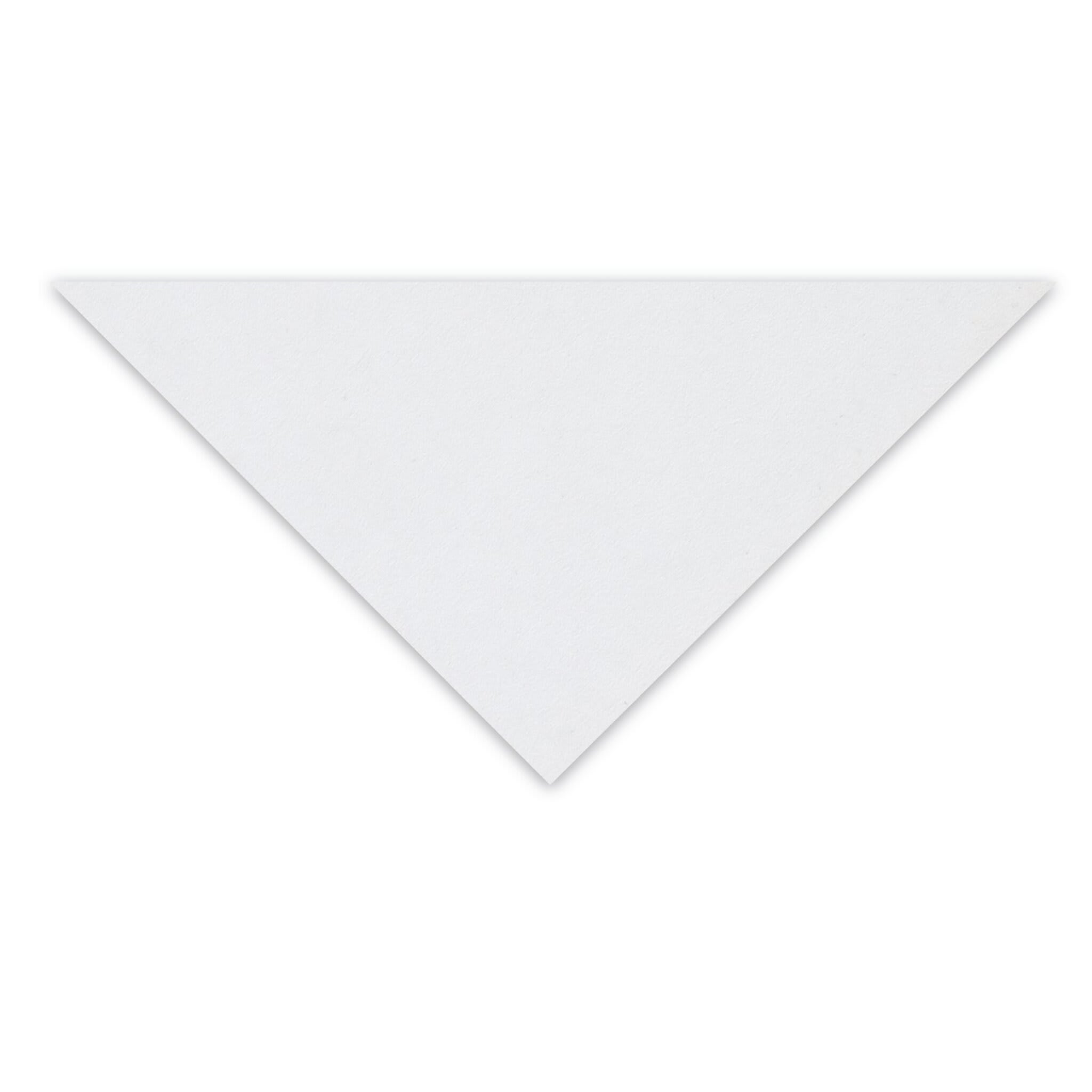 Clairefontaine Pastelmat Sheet - 27-1/2" x 39-1/2", White, 1 Sheet