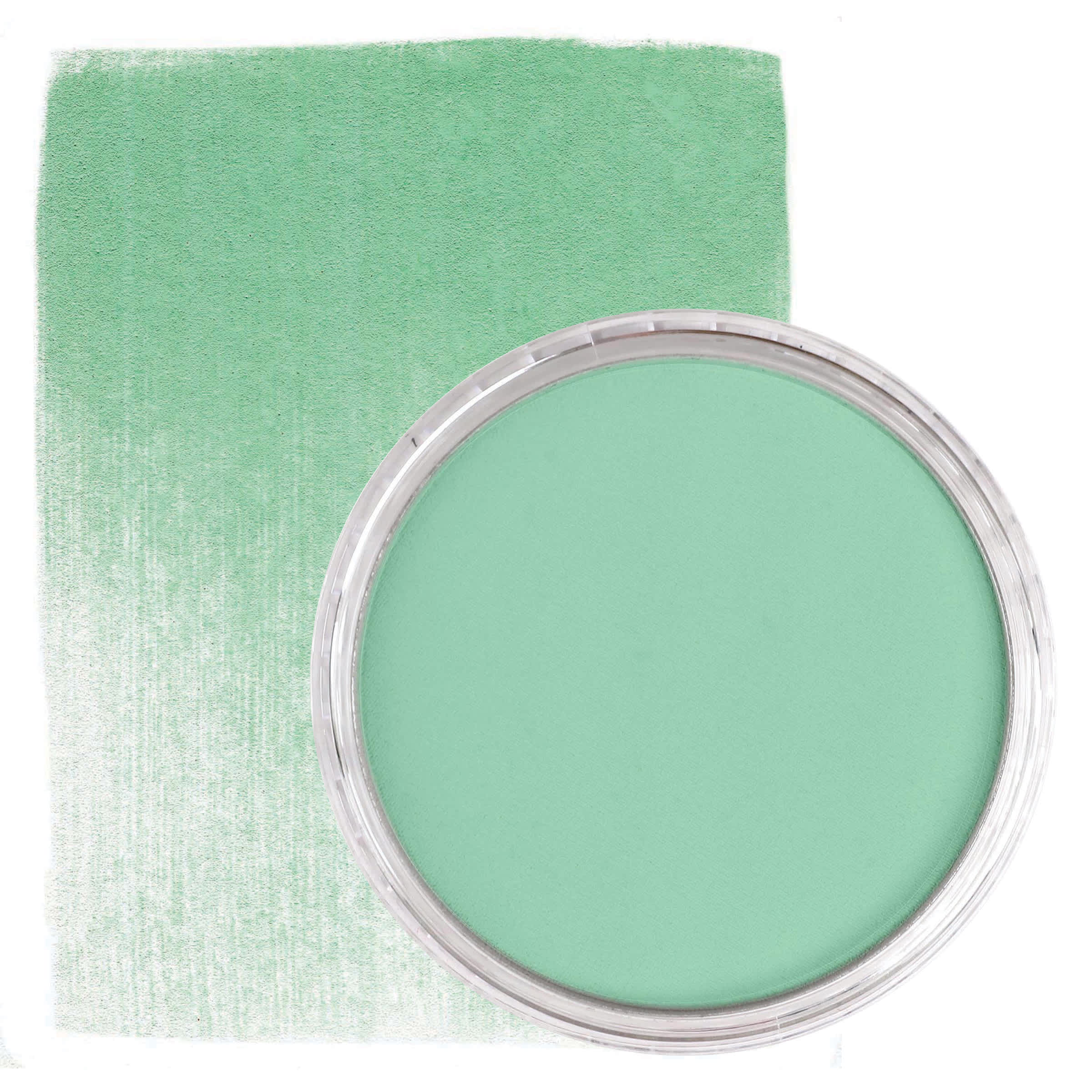 PanPastel Artist Painting Pastel - Permanent Green Light, 640.7