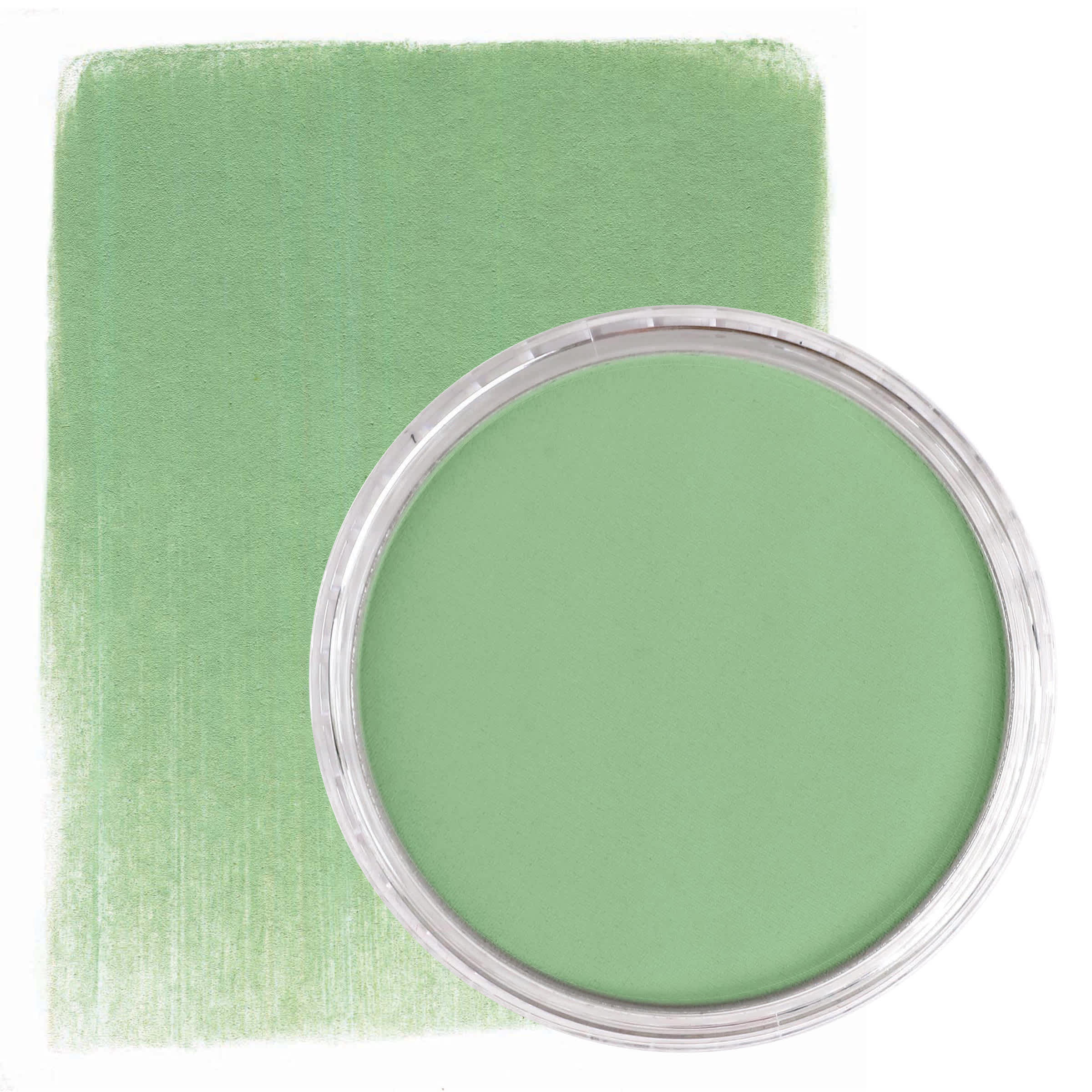 PanPastel Artist Painting Pastel - Chromium Oxide Green Light, 660.7
