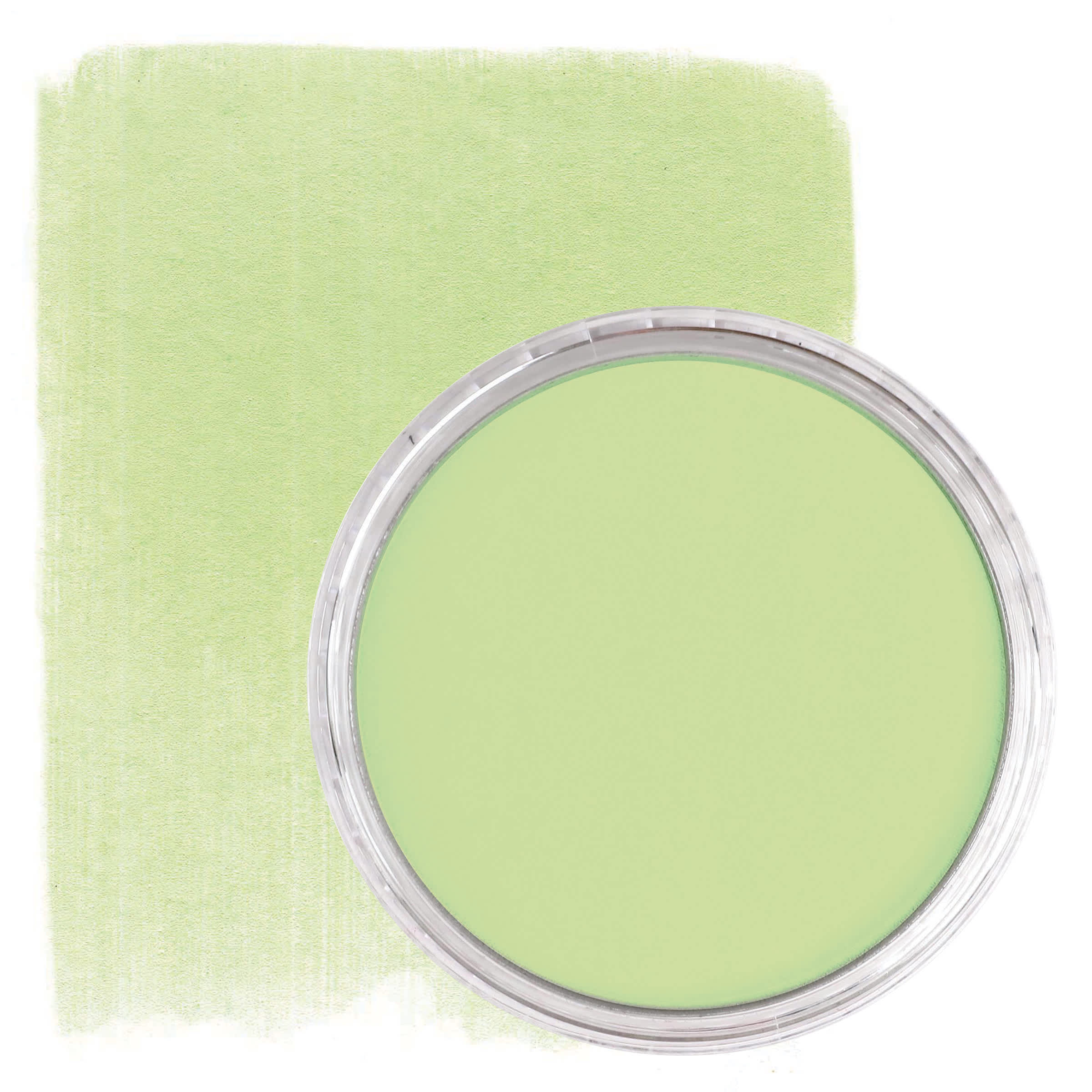 PanPastel Artist Painting Pastel - Yellow Green Tint, 690.8