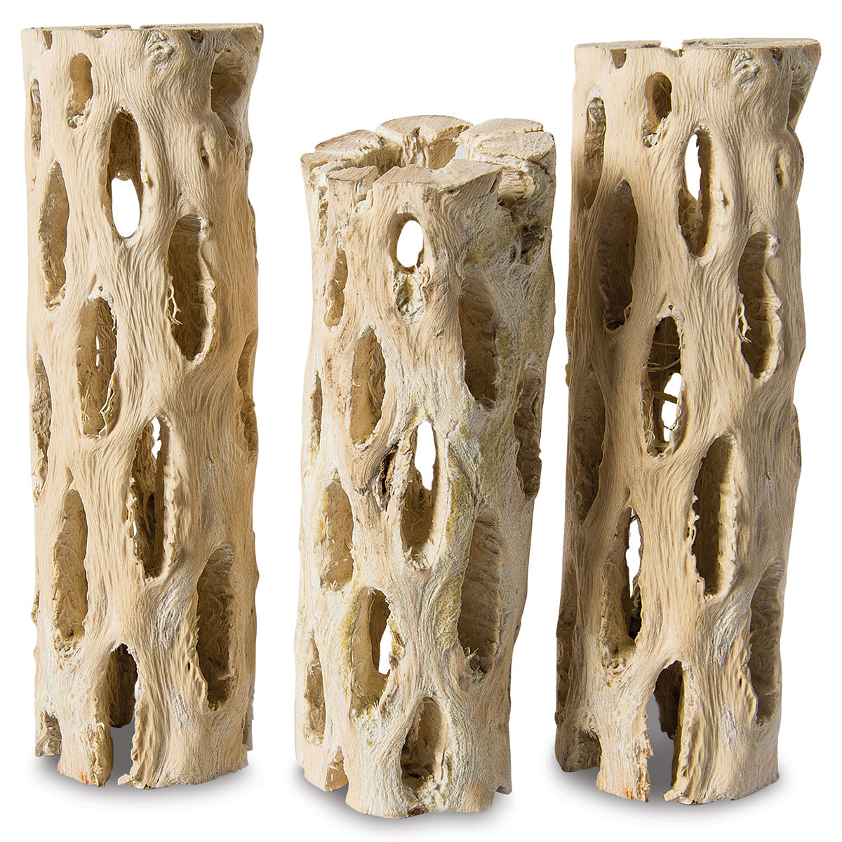 SuperMoss Cholla Wood  Pkg of 3
