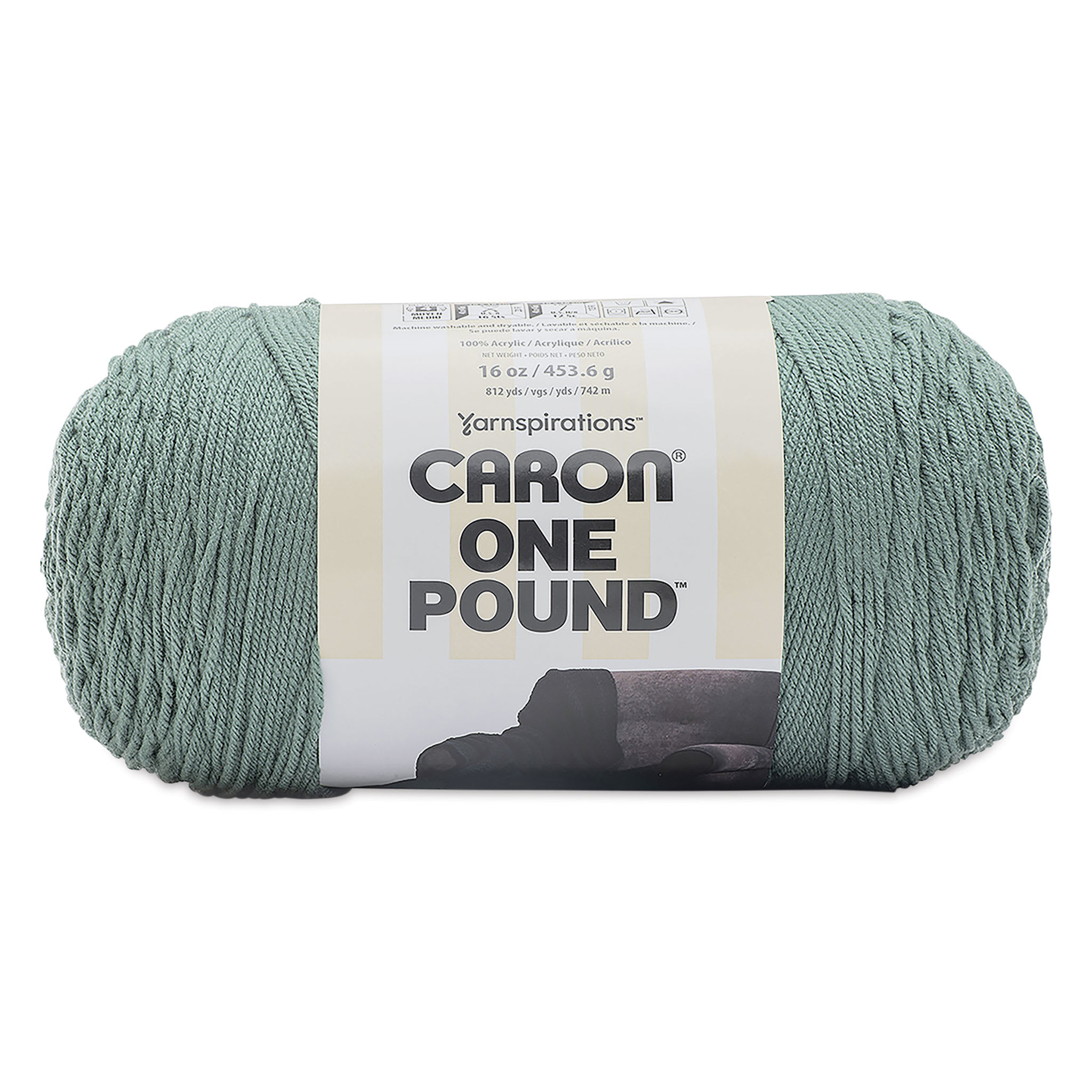 Caron One Pound Knitting Yarn in Hosta (454g/16oz) by Yarnspirations