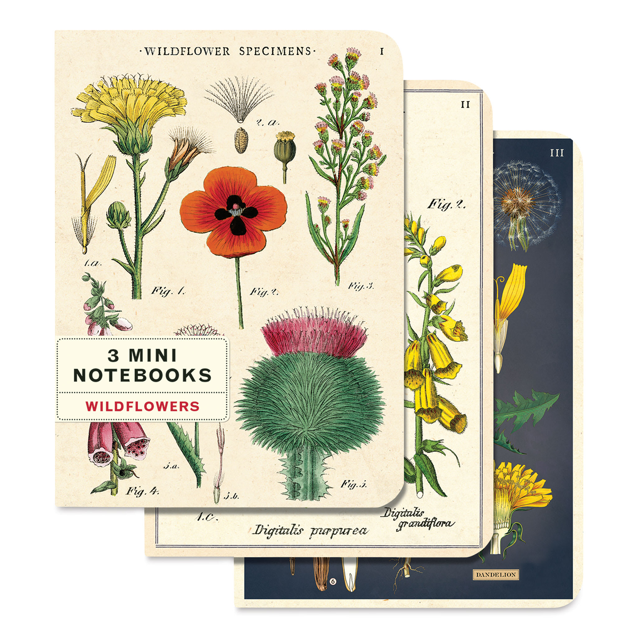 Cavallini Wildflowers Mini Notebooks  Pkg of 3