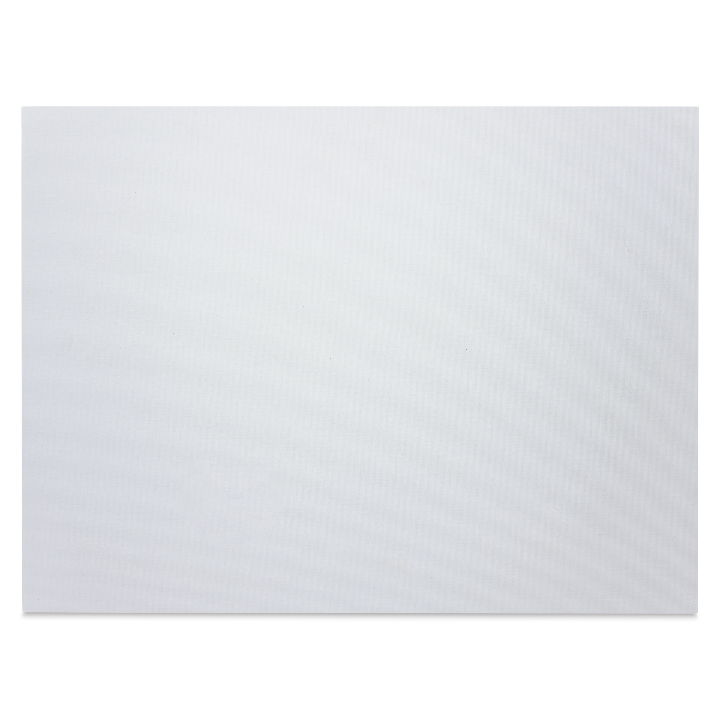 Winsor & Newton Professional Artists Canvas Board - 18" x 24"
