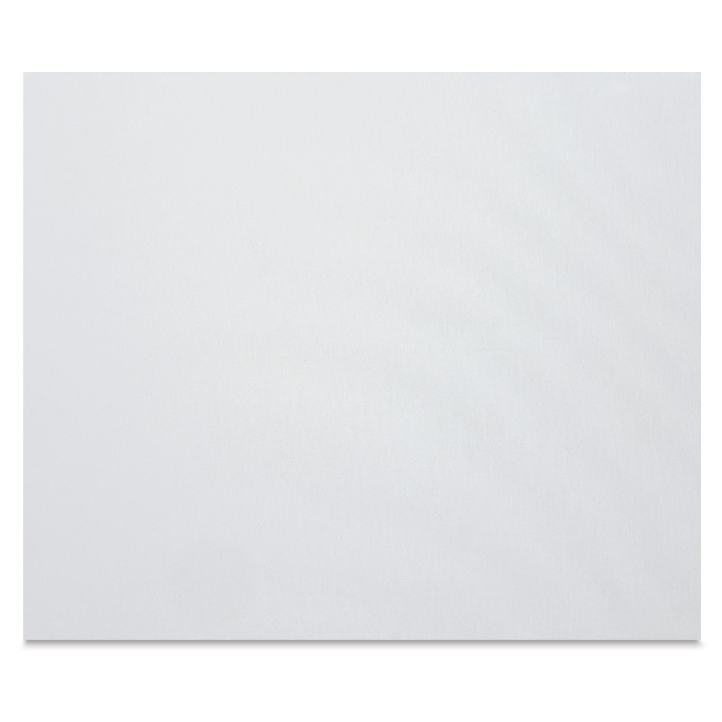 Winsor & Newton Professional Artists Canvas Board - 20" x 24"