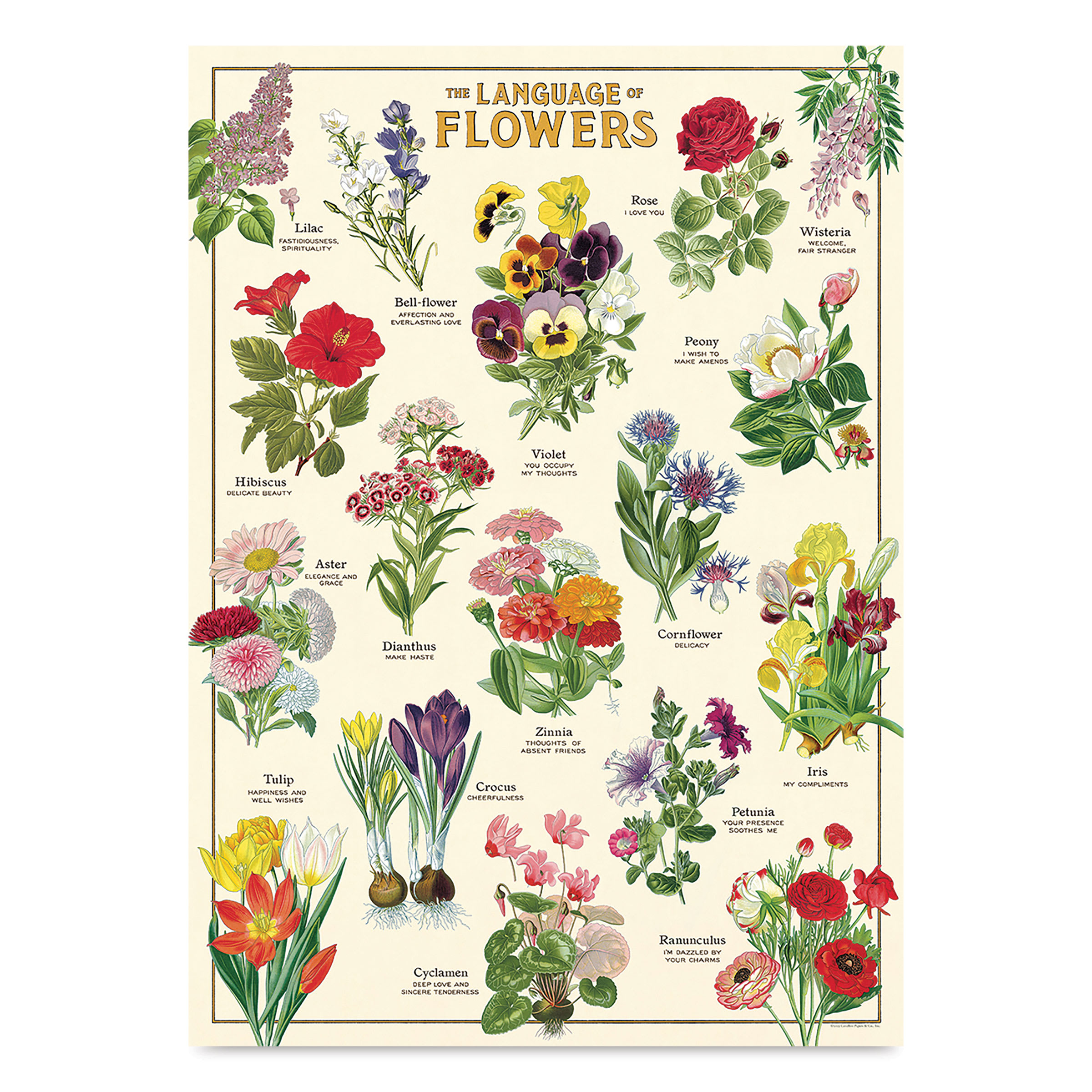 Cavallini Language of Flowers Printed Paper