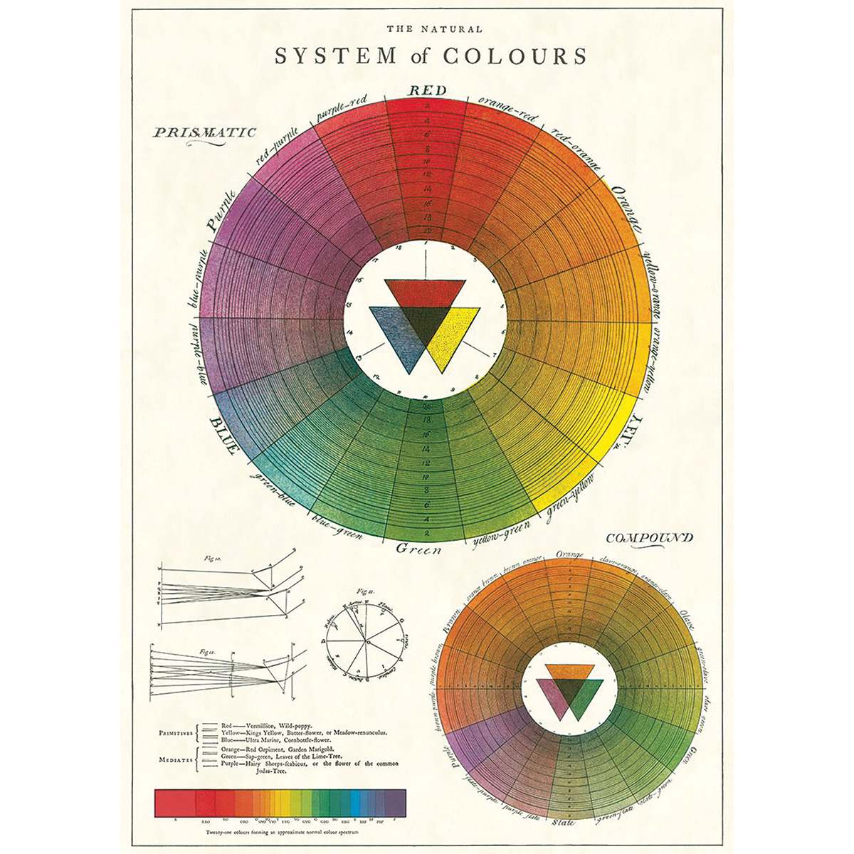 Cavallini Color Wheel Printed Paper