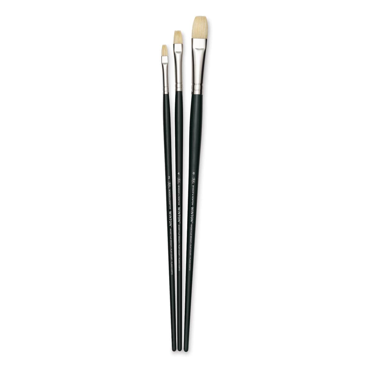 Winsor & Newton Winton Hog Bristle Brushes | BLICK Art Materials