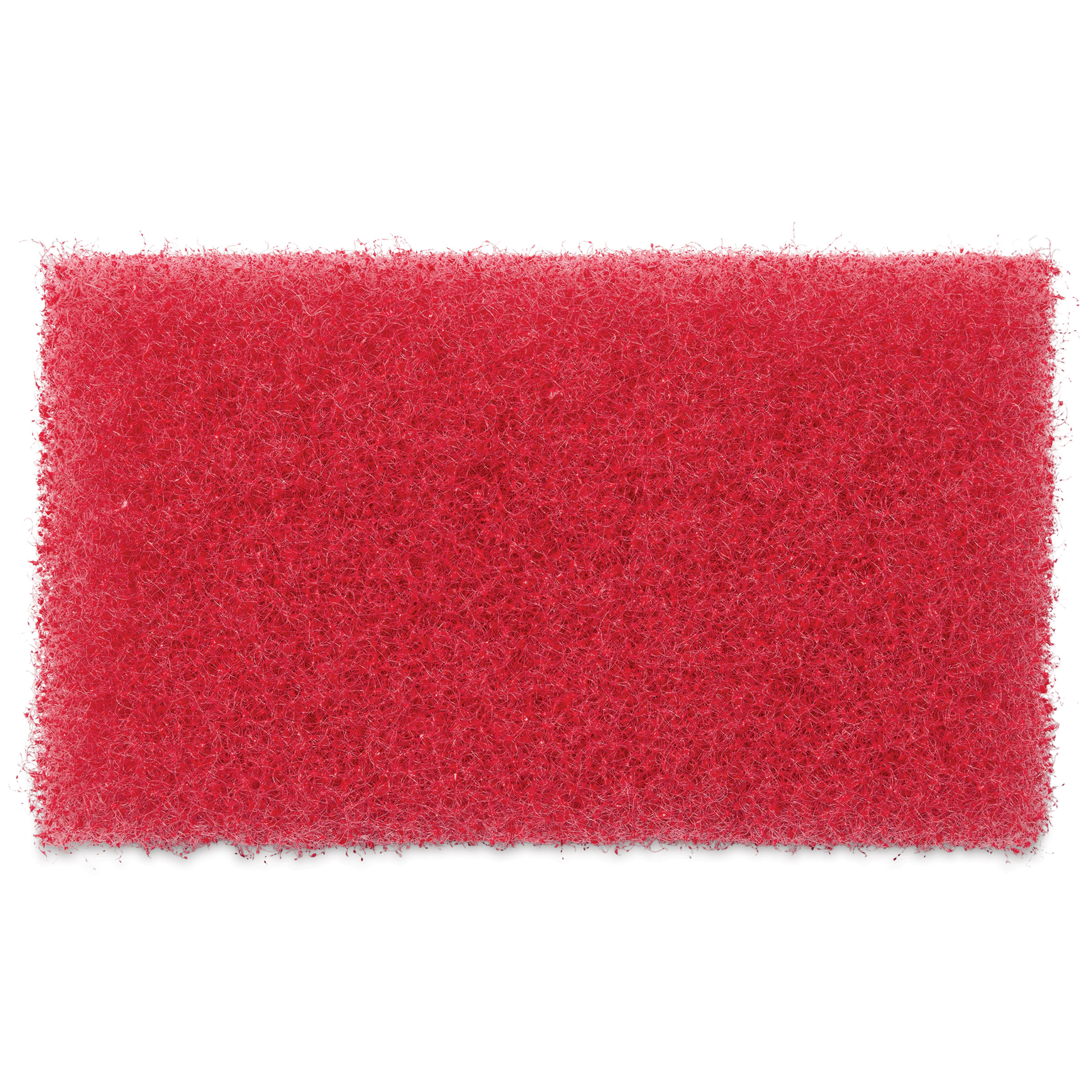 Franmar Biggee Scrub Pads