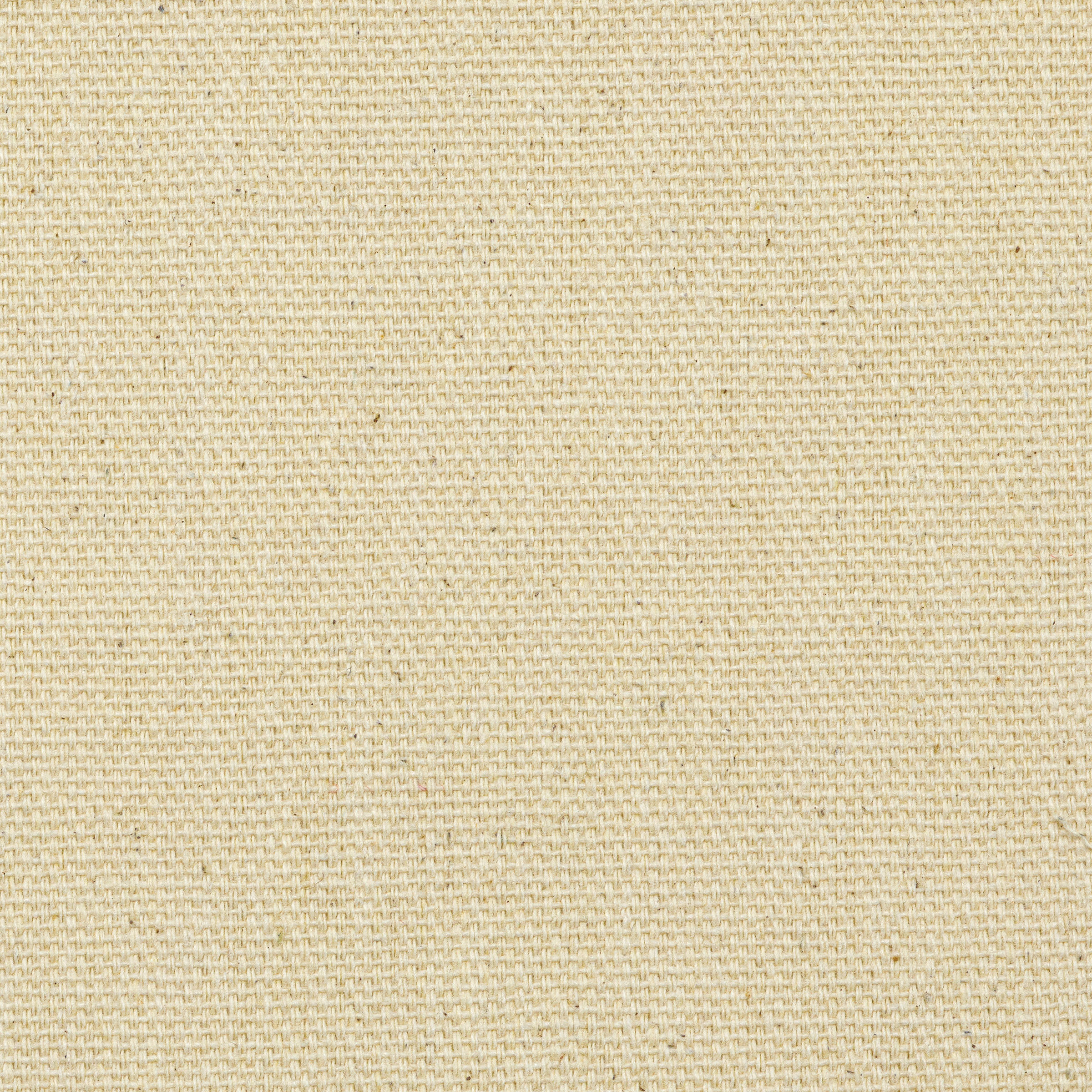 Blick Unprimed Cotton Canvas By the Yard