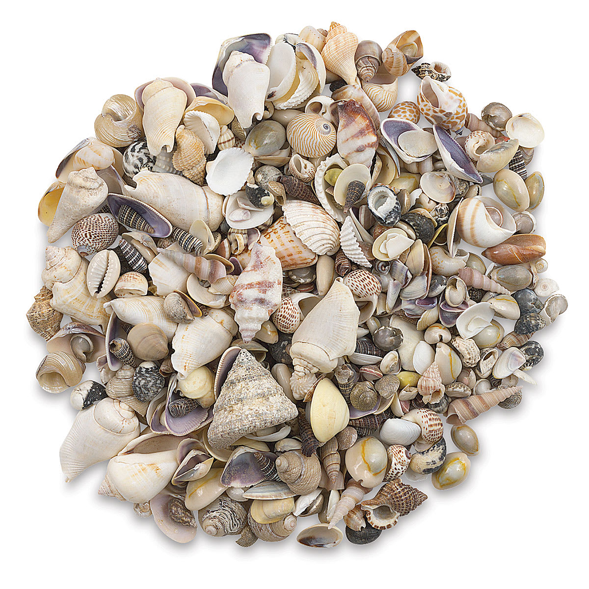 Hygloss Bucket O' Shells
