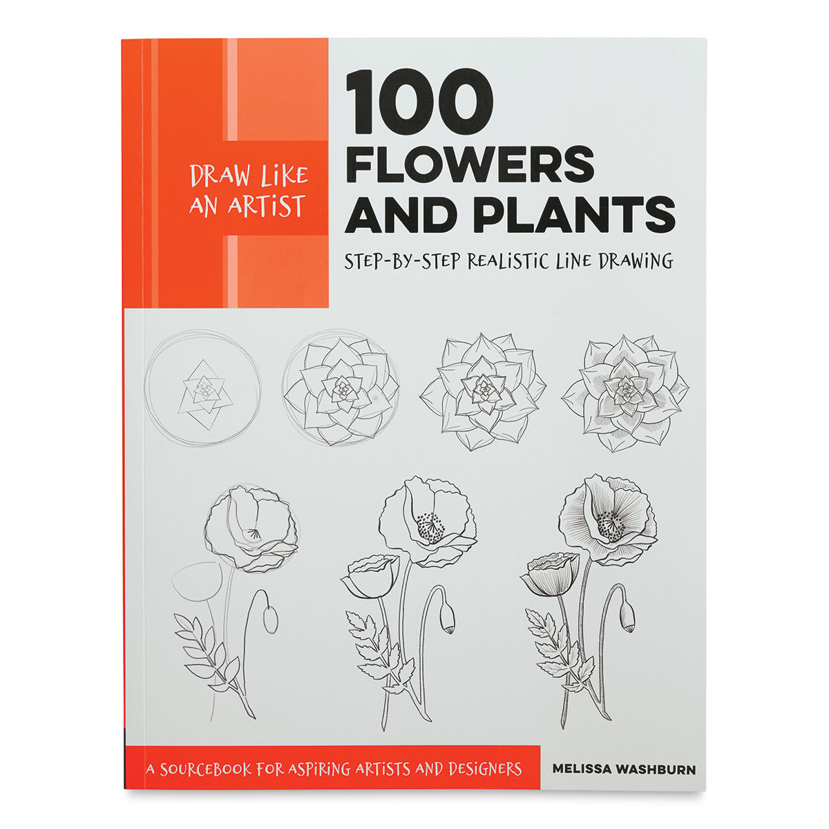 Draw Like an Artist 100 Flowers and Plants