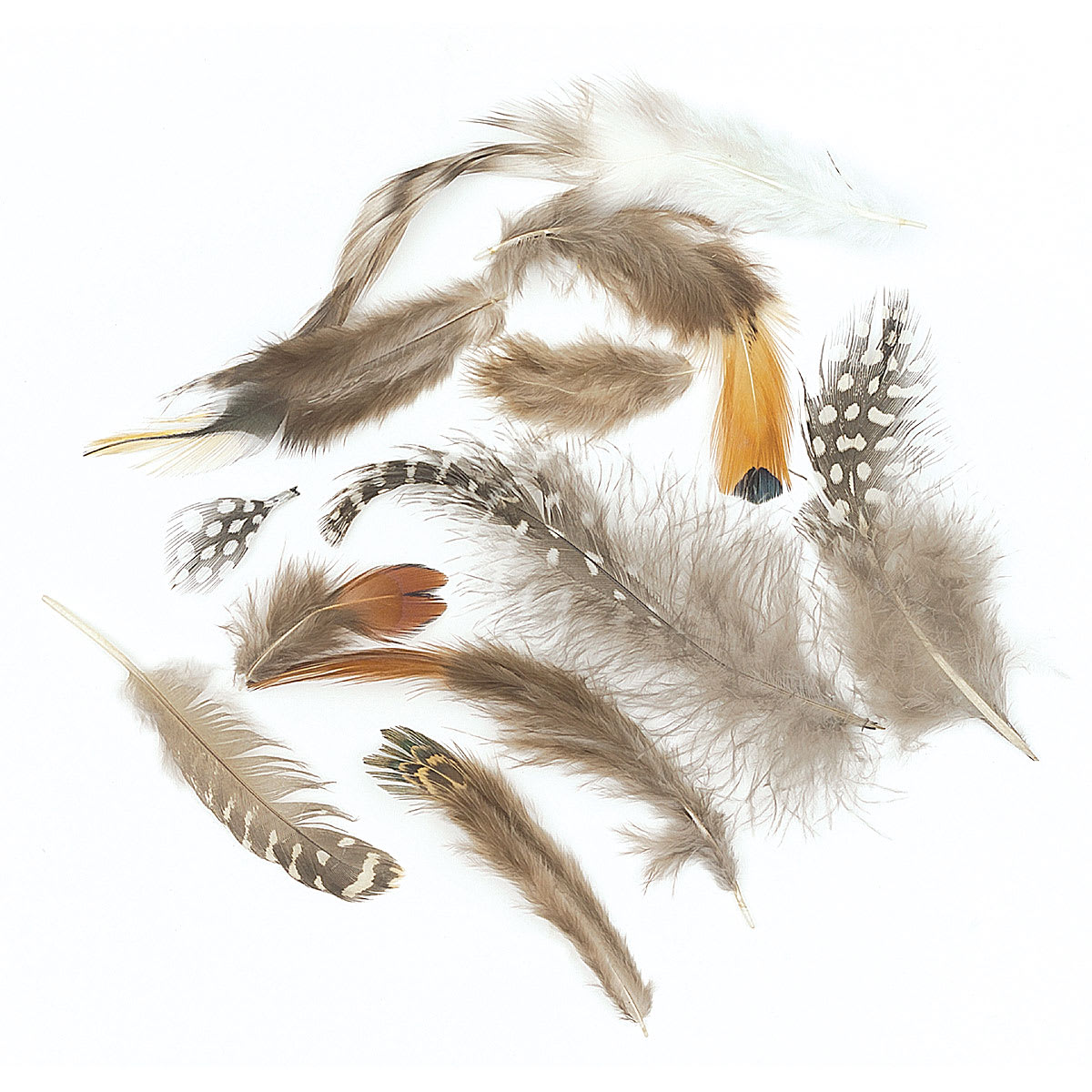 Creativity Street Natural Feather Assortment