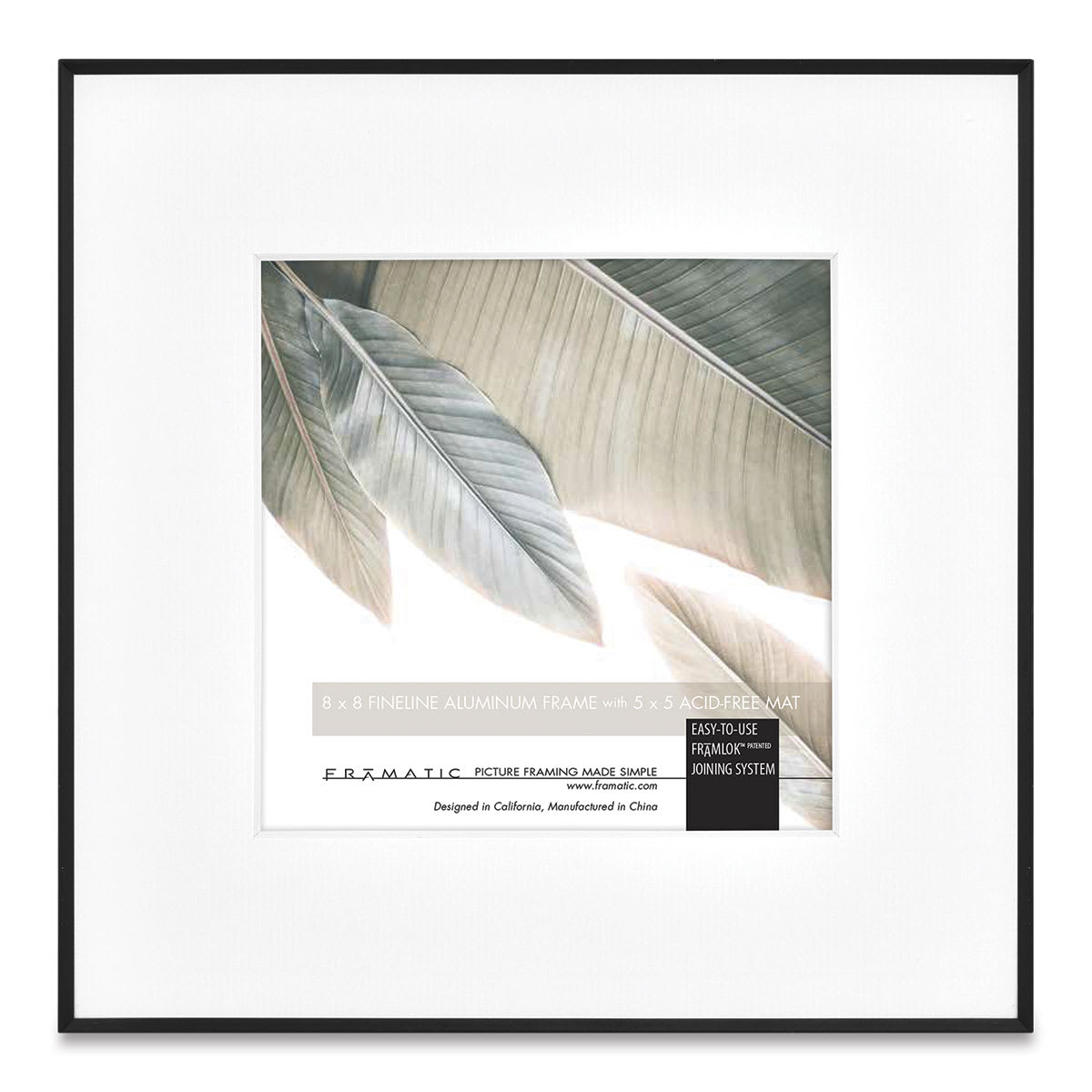 MCS Framatic Fineline II Frames with Mat