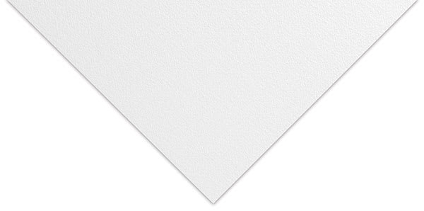 Canson Bristol Plate Art Board