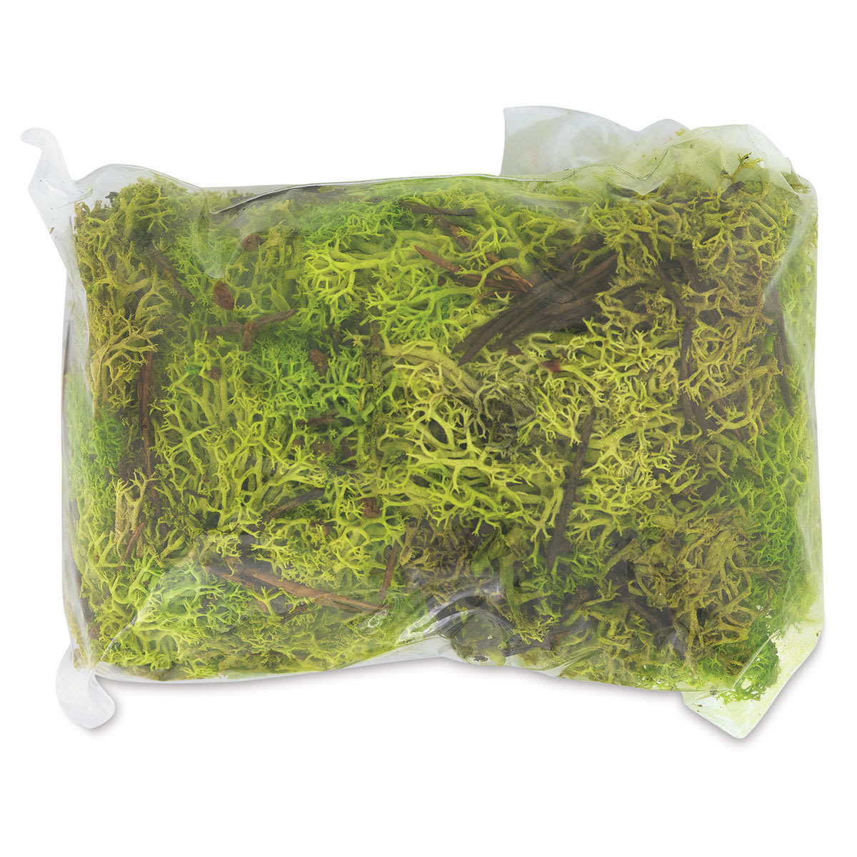 Schulcz Scale Model Icelandic Lichen Moss